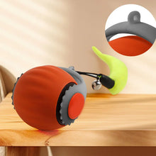 Interactive Fishing Reel Toy for Cats & Dogs – Playful Pet Teaser