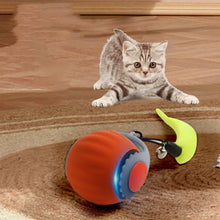 Interactive Fishing Reel Toy for Cats & Dogs – Playful Pet Teaser