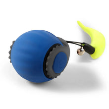 Interactive Fishing Reel Toy for Cats & Dogs – Playful Pet Teaser