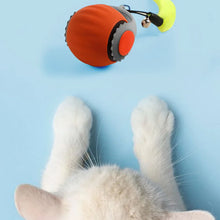Interactive Fishing Reel Toy for Cats & Dogs – Playful Pet Teaser
