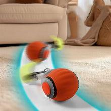 Interactive Fishing Reel Toy for Cats & Dogs – Playful Pet Teaser