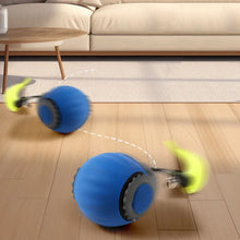 Interactive Fishing Reel Toy for Cats & Dogs – Playful Pet Teaser